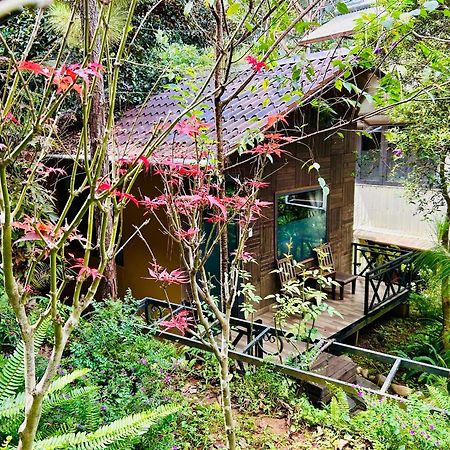 Bazan Home - Hotel & Bungalow プレイク エクステリア 写真