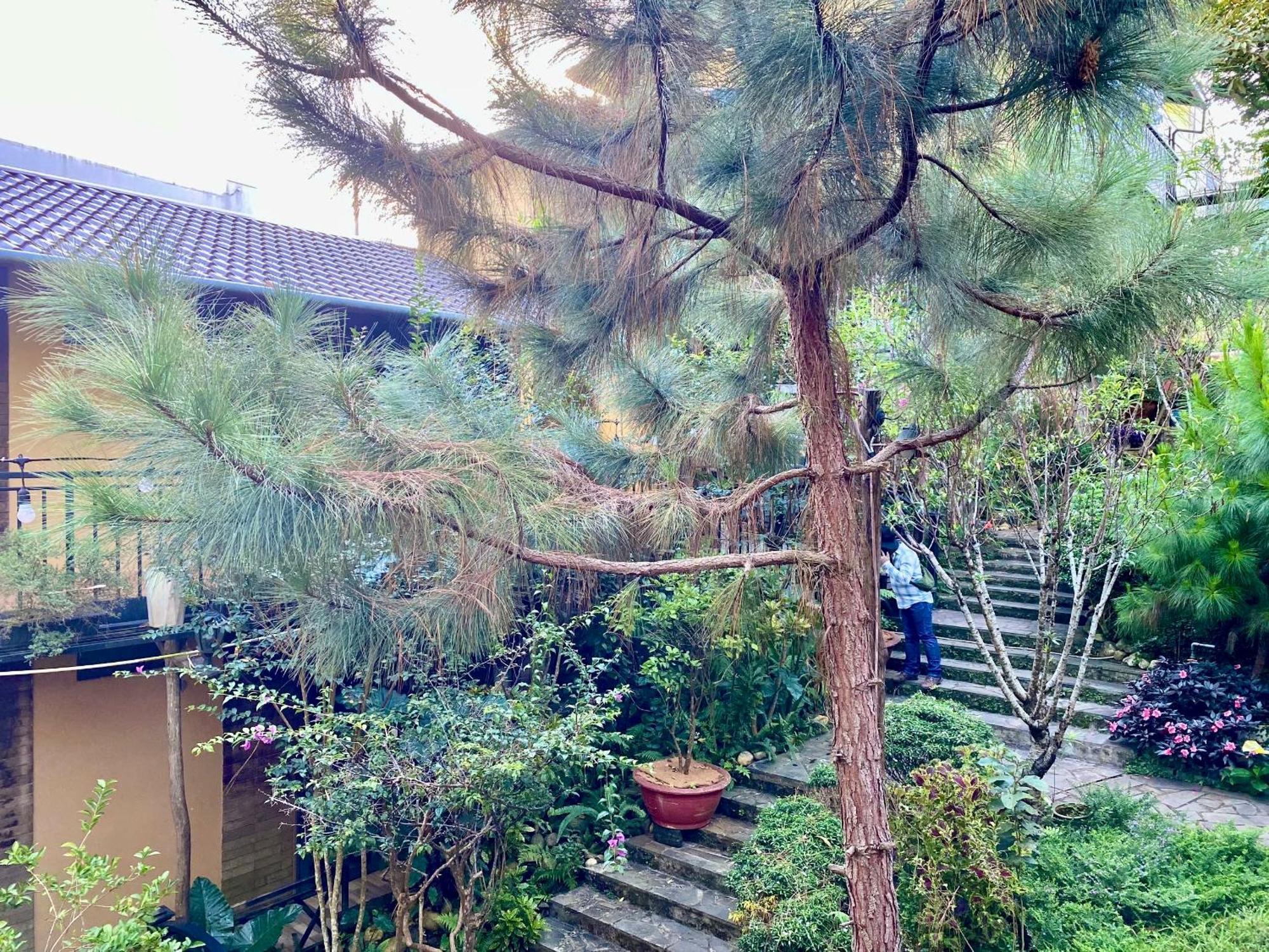 Bazan Home - Hotel & Bungalow プレイク エクステリア 写真